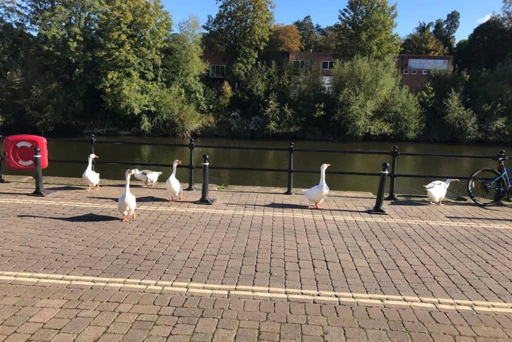 Belle View cottage Bewdley Esterno foto